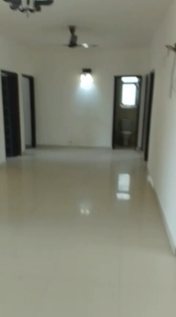Room in 3 BHK Apartment at BPTP Park 81, Sector 81 – for Rent