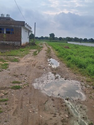  Plot – Exterior View View at Mahindra World City Jaipur, Kalwara - for Sale