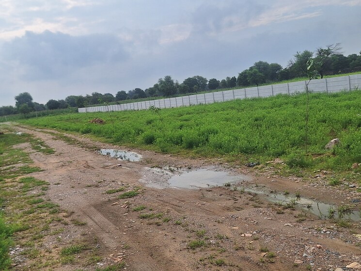 undefined, ajmer road  111 Sq.Yd. Plot In Ajmer Road Jaipur 9172491