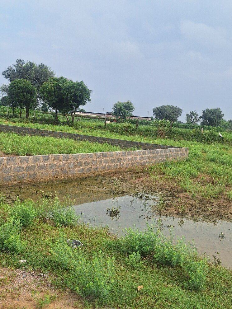 Garden, mahindra-world-city-jaipur  111 Sq.Yd. Plot In Kalwara Jaipur 9172572