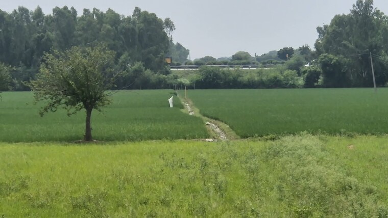 undefined, malerna Commercial Land 1210 Sq.Yd. In Malerna Faridabad 9172616