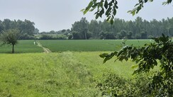 Land For Sale in Malerna