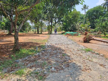 Plot Area in  Land at Thrissur 1 – for Sale