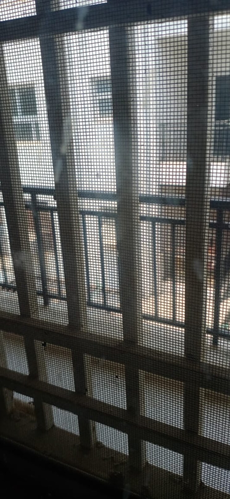 Room, bptp-parkland 3 Bedroom 350 Sq.Yd. Builder Floor In Sector 75 Faridabad 9172688