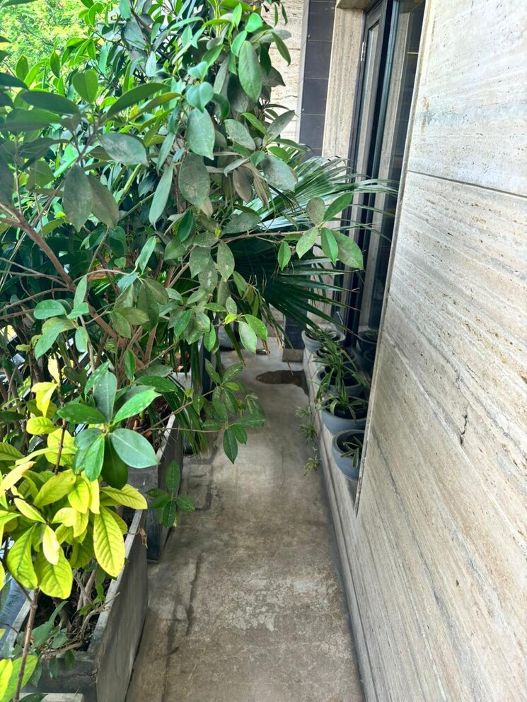 Balcony, safdarjung enclave 3 Bedroom 2000 Sq.Ft. Builder Floor In Safdarjung Enclave Delhi 9173219