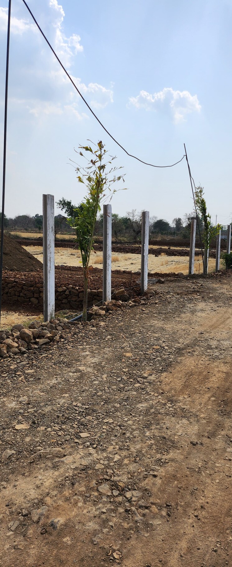 undefined, barela road  1050 Sq.Ft. Plot In Barela Road Jabalpur 9173245