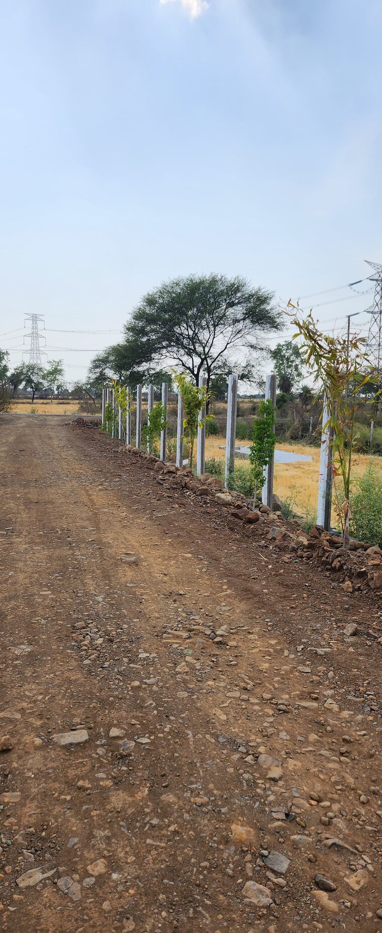 undefined, barela road  1050 Sq.Ft. Plot In Barela Road Jabalpur 9173245
