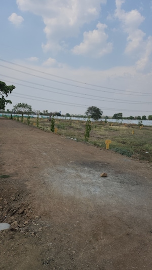 Plot Area in  Plot at Barela Road – for Sale
