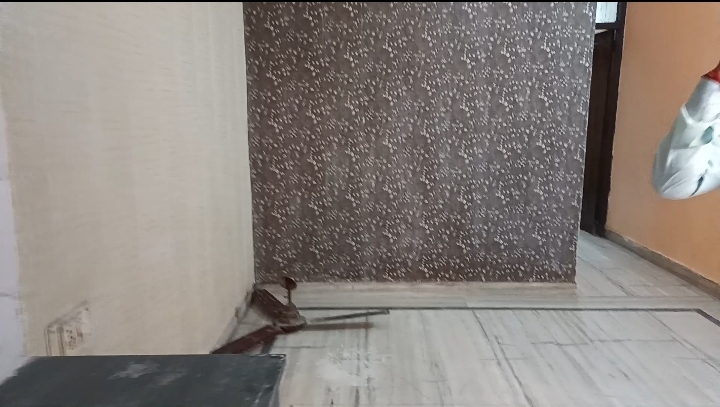 1 BHK Builder Floor For Rent in Builder Floor 