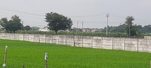  Plot For Sale in Gosainganj
