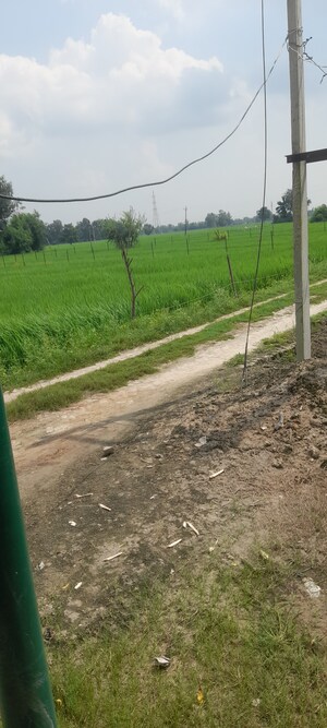  Plot – Exterior View View at Gosainganj - for Sale