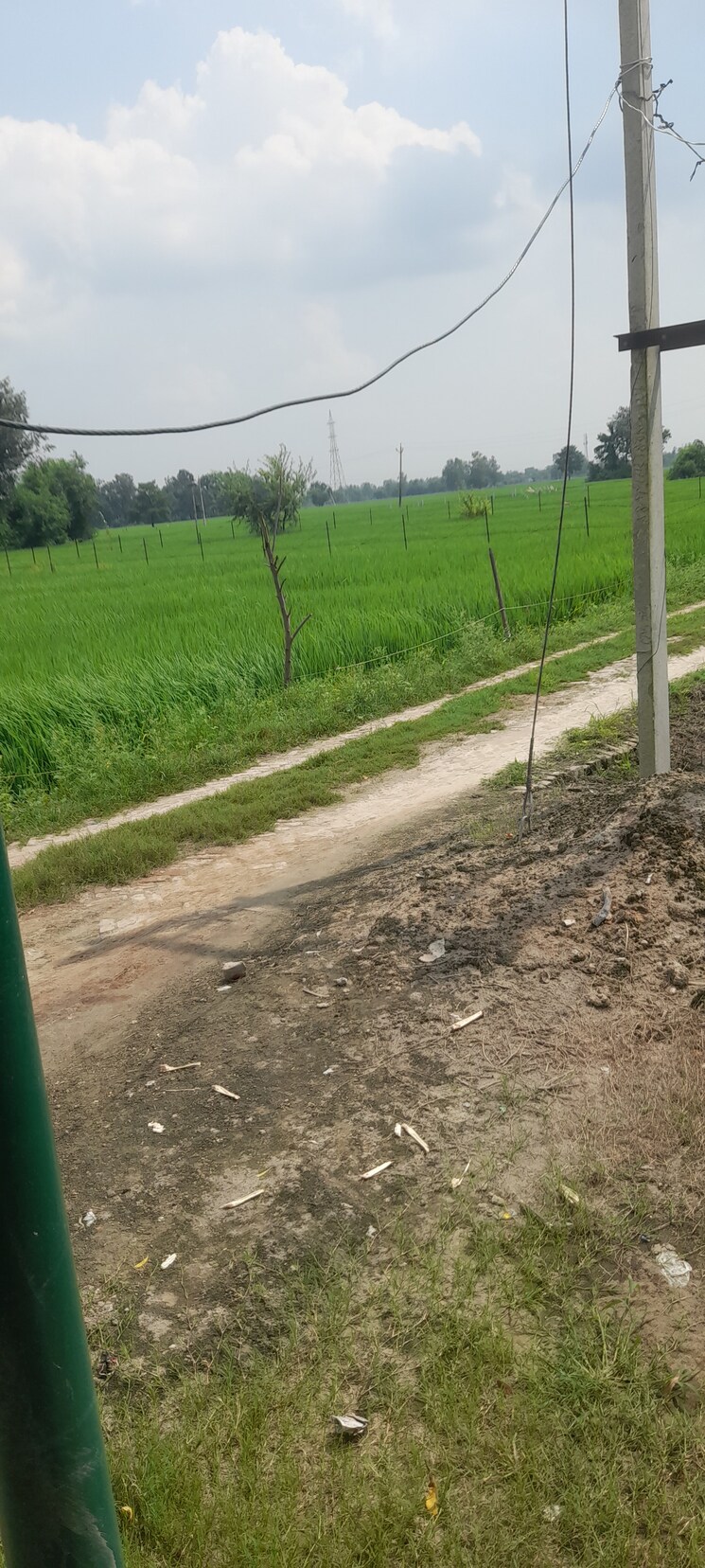 Exterior View, gosainganj  1500 Sq.Ft. Plot In Gosainganj Lucknow 9174008