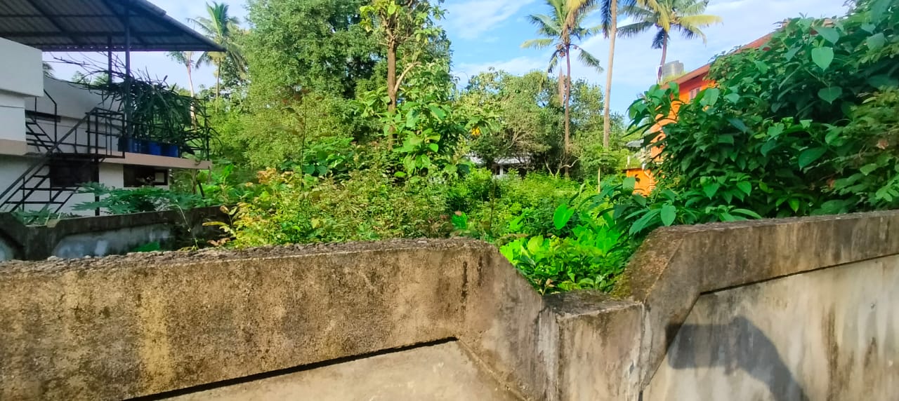 Plot For Sale in Ollur