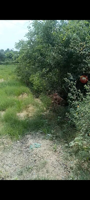 Plot Area in  Industrial Plot at Raj Nagar Extension – for Sale