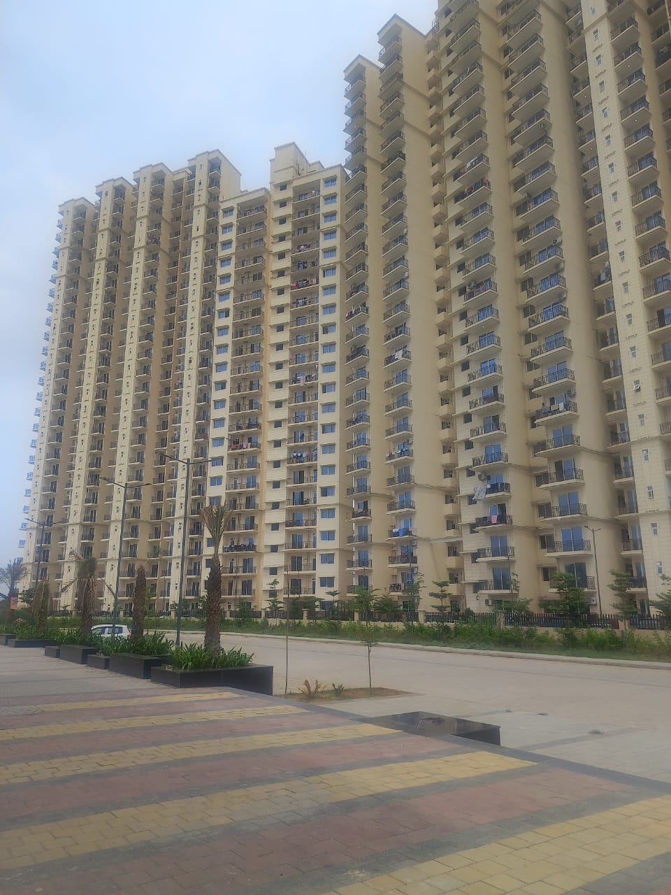 2 BHK Apartment For Rent in Signature Global Proxima