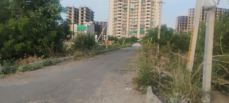 Exterior View, sector 78  175 Sq.Ft. Plot In Sector 78 Faridabad 9174598
