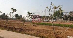 Plot Area in  Plot at Mapsko The Icon 79, Sector 79 – for Sale