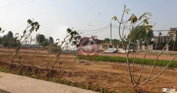 Plot Area in  Plot at Mapsko The Icon 79, Sector 79 – for Sale