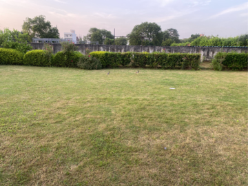 Plot Area in  Plot at BPTP Parkland, Sector 75 – for Sale