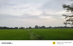 66550 Sq.Yd. Land in Chaubepur