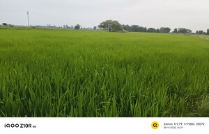 Plot Area in  Land at Chaubepur – for Sale