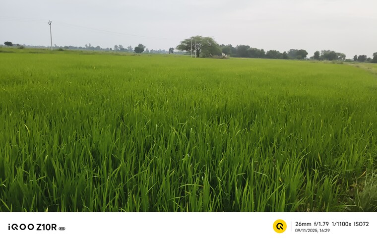 undefined, chaubepur Commercial Land 66550 Sq.Yd. In Chaubepur Kanpur 9174991