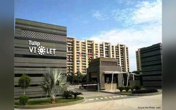 3 BHK Apartment For Sale in Tulip Violet, Sector 69