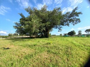  Plot – Exterior View View at Tharalu - for Sale