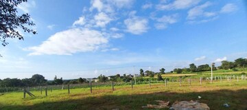  Plot For Sale in Tharalu