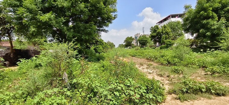 Garden, jagatpura  272 Sq.Yd. Plot In Jagatpura Jaipur 9175369