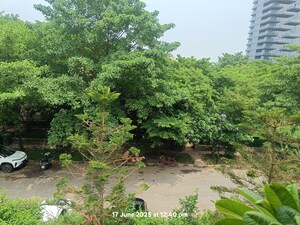 4 BHK Builder Floor – Garden View at Emaar MGF Emerald Hills, Sector 65 - for Sale