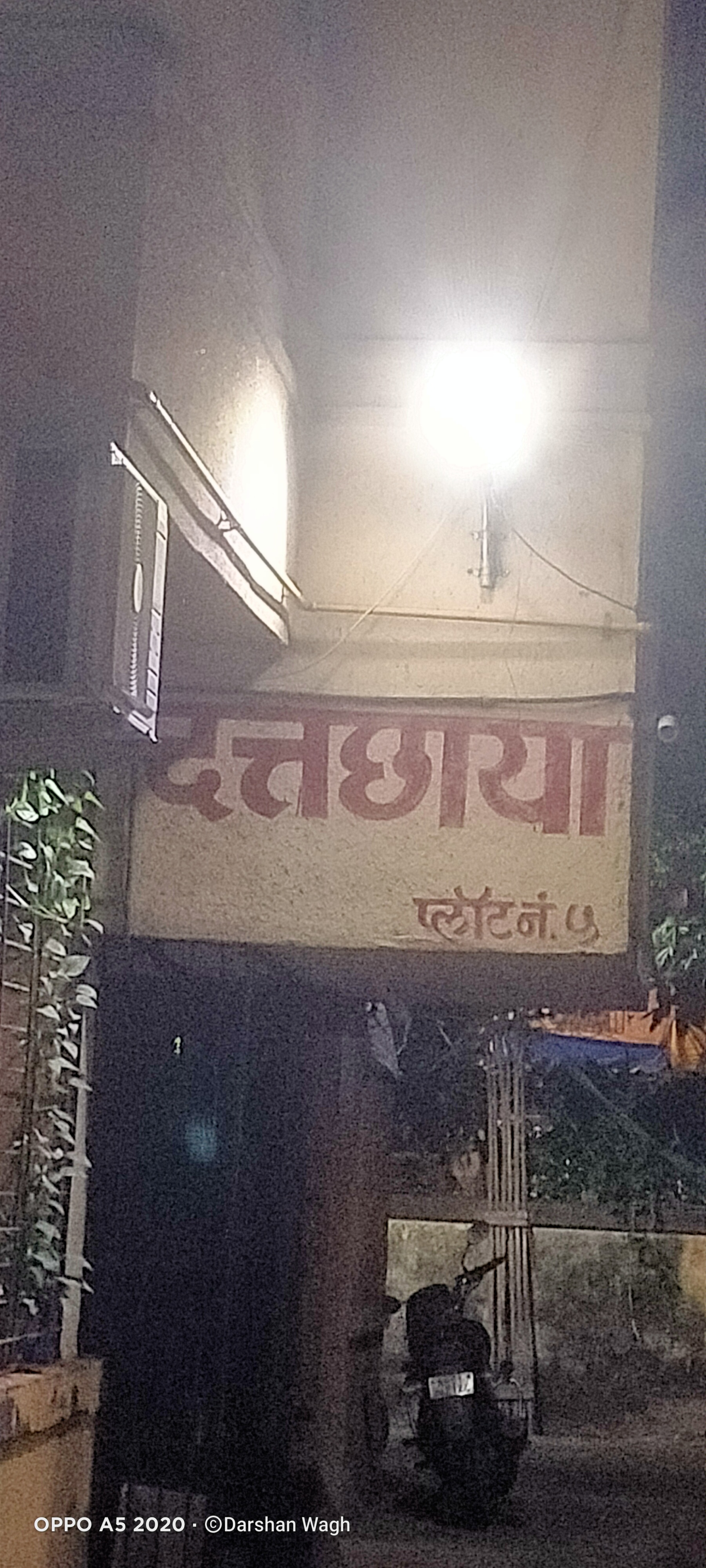 1 BHK Apartment For Rent in Shree Datta Krupa CHS Bhandup