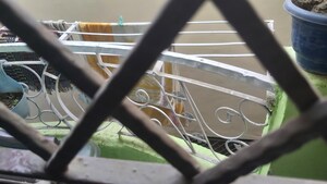 Staircase in 2.5 BHK Builder Floor at Mayur Vihar – for Sale