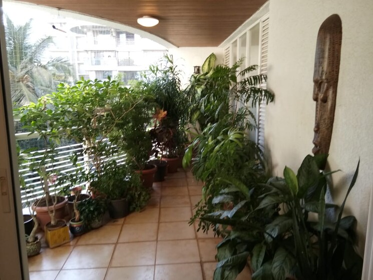 Exterior View, evershine-jewel 6 Bedroom 3500 Sq.Ft. Apartment In Khar West Mumbai 9175587