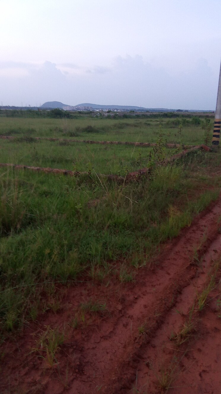 undefined, motwani-mj-icon  2000 Sq.Ft. Plot In Tamando Bhubaneswar 9175631