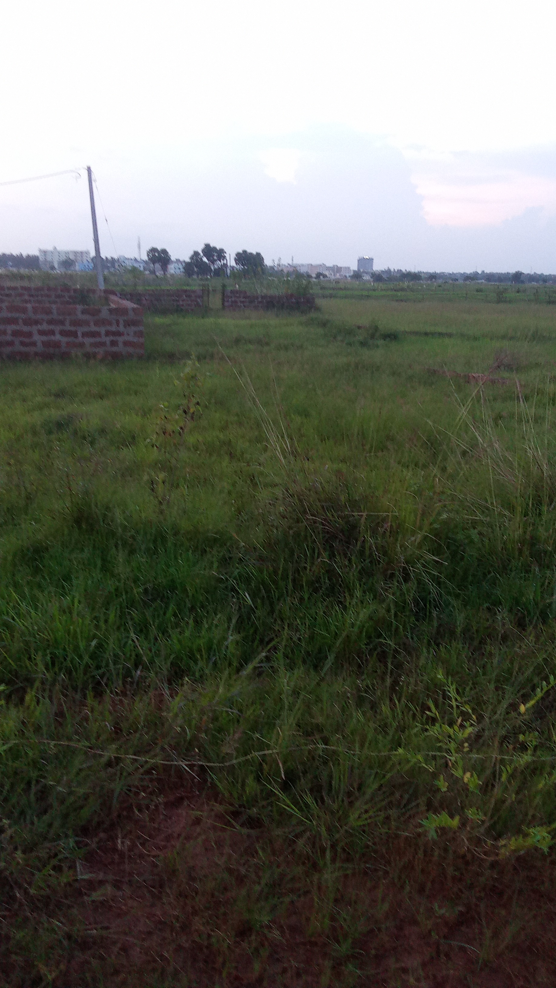 Plot For Sale in Motwani MJ Icon