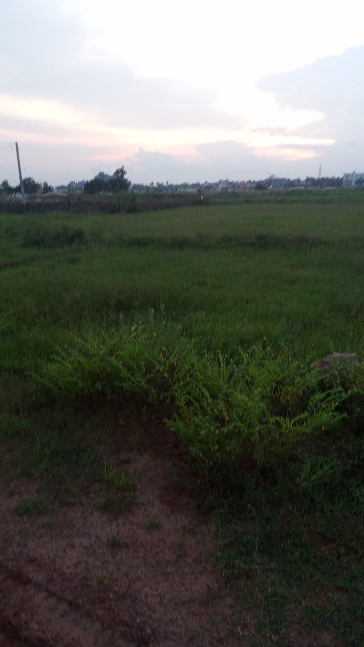 undefined, motwani-mj-icon  2000 Sq.Ft. Plot In Tamando Bhubaneswar 9175631