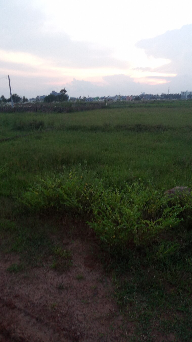 undefined, motwani-mj-icon  2000 Sq.Ft. Plot In Tamando Bhubaneswar 9175631