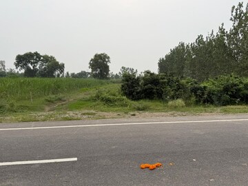  Land For Sale in Pilibhit Bypass Road