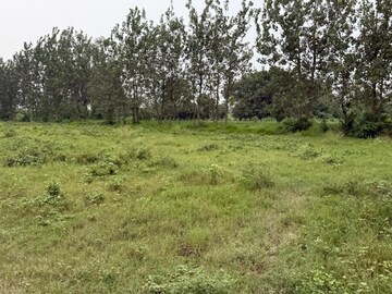 Plot Area in  Land at Pilibhit Bypass Road – for Sale