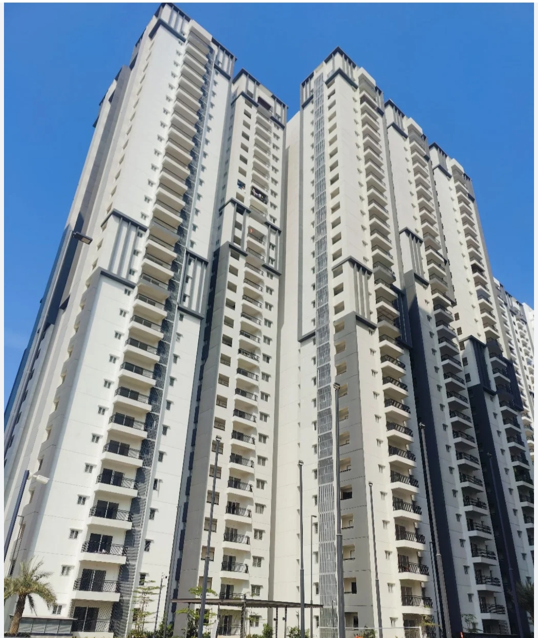 3 BHK + Pooja Room Apartment For Sale in My Home Tridasa