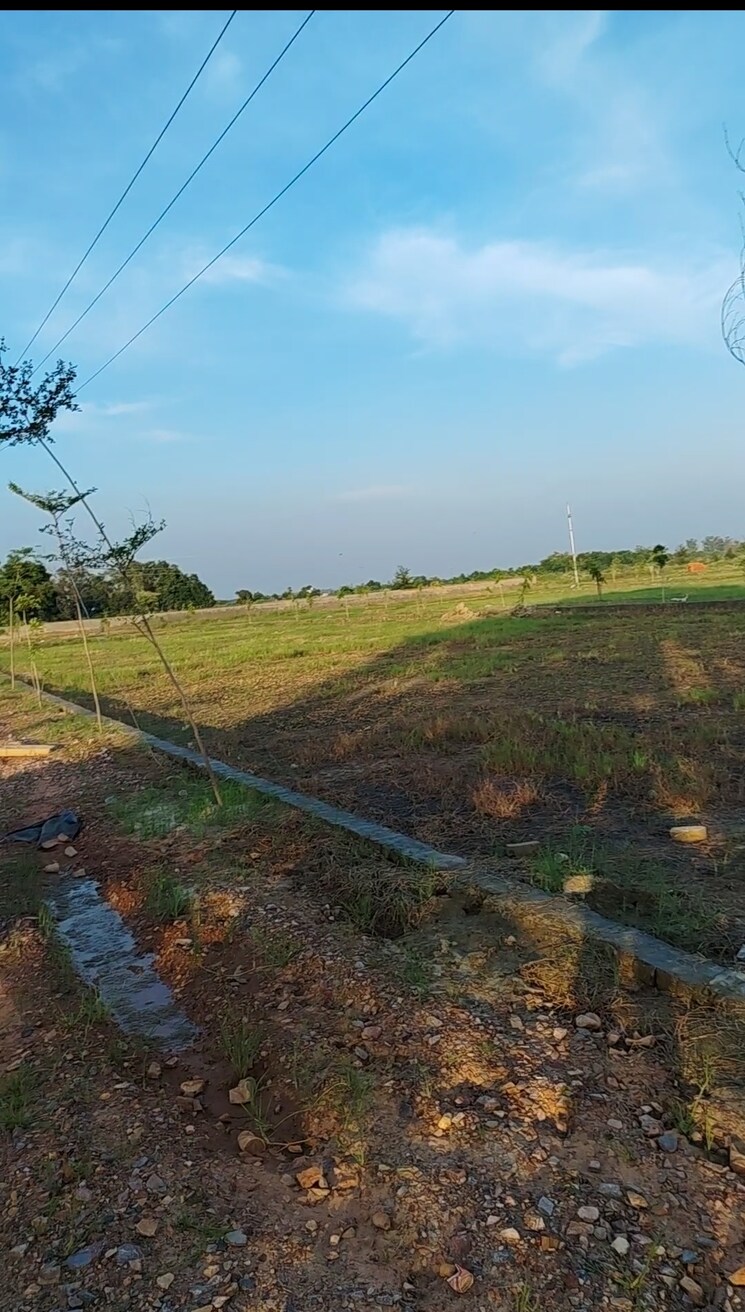 undefined, sector 17a yamuna expressway  100 Sq.Yd. Plot In Sector 17a Yamuna Expressway Greater Noida 9175772