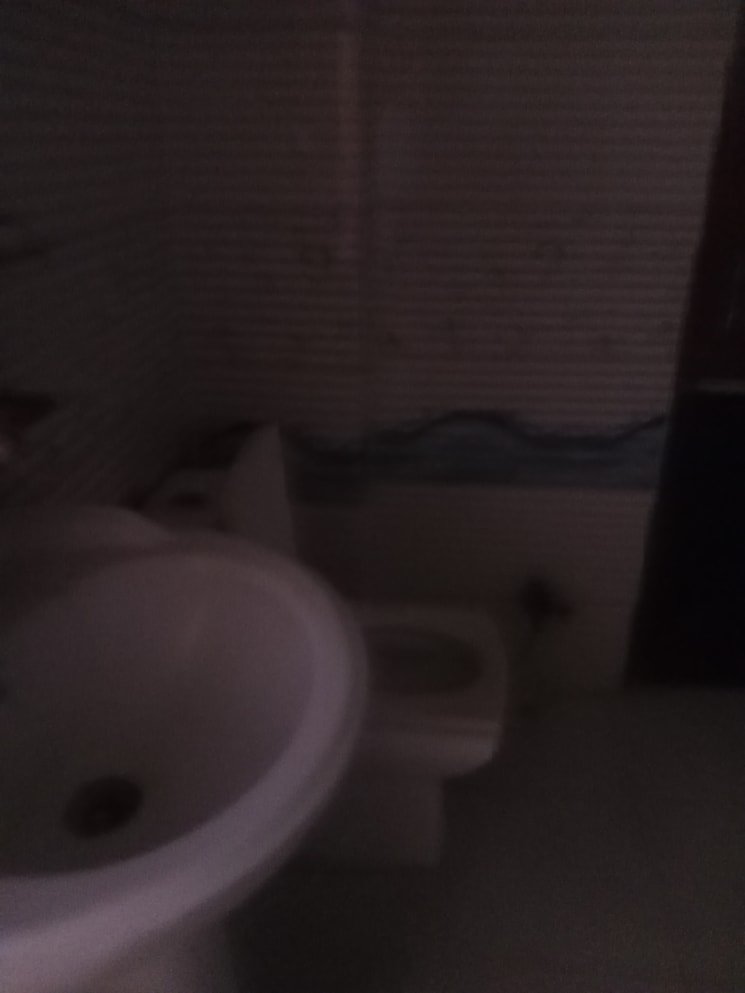 Bathroom, sector 11 2 Bedroom 1101 Sq.Ft. Builder Floor In Sector 11 Panipat 9175802