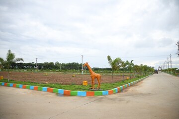  Plot – Exterior View View at Tagarapuvalasa - for Sale