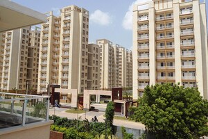 3 BHK Apartment – Exterior View View at Tulip Orange, Sector 70 - for Sale