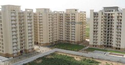 3 BHK + Study Room Apartment For Sale in Tulip Orange