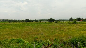 Plot Area in  Land at Chevalla – for Sale