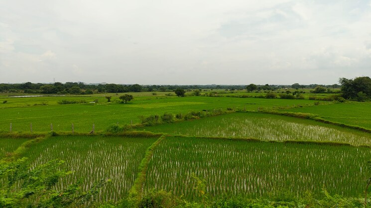 undefined, chevalla Commercial Land 5 Acre In Chevalla Hyderabad 9175977