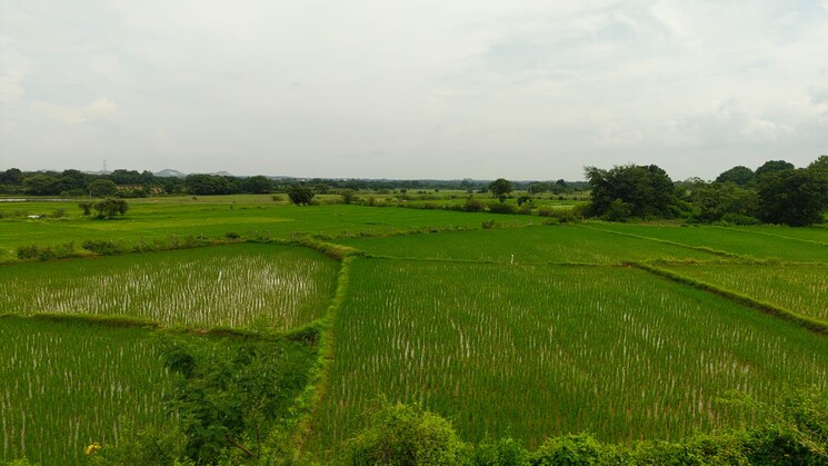 undefined, chevalla Commercial Land 5 Acre In Chevalla Hyderabad 9175977