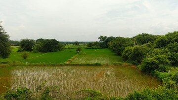  Land For Sale in Chevalla